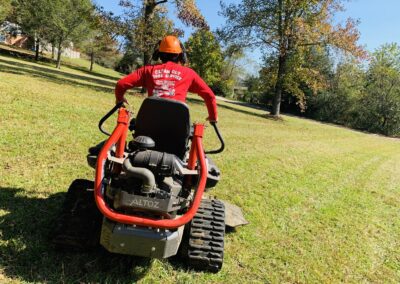 Tree Service Franklin NC