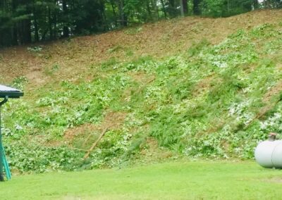 Tree Service Franklin