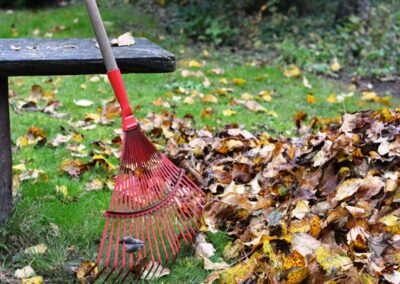Yard Clean Up Franklin NC